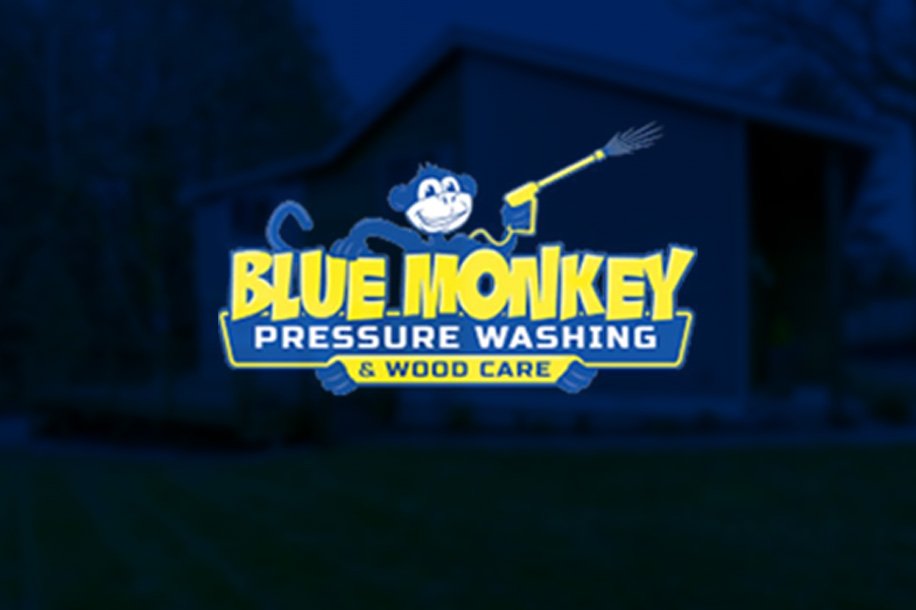 Blue-Monkey